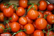 Цены на овощи в Свердловской области пошли на спад