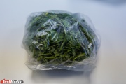 В гаражном комплексе Первоуральска наркополицейские нашли одиннадцать килограммов марихуаны