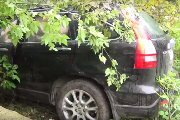 В Красноуфимске водитель, зажатый деревом в собственном автомобиле, два часа ждал помощи  - Фото 1
