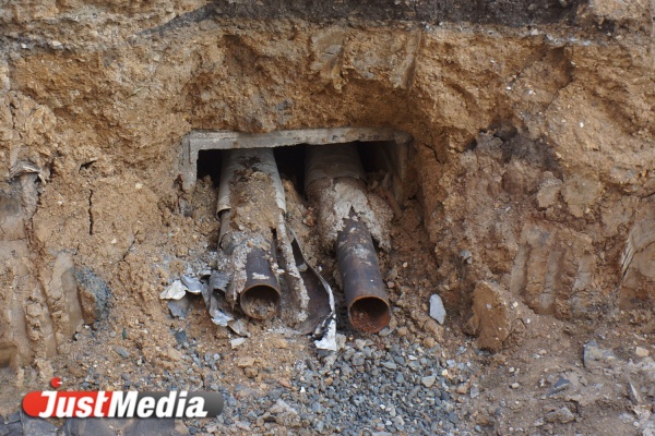 Следователи проводят проверку по факту обнаружения на Татищева пяти черепов - Фото 1