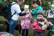 Молодые мамы Екатеринбурга поделились с властями города идеями благоустройства нового парка