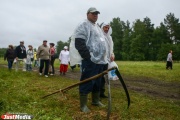 Дожди и заморозки угрожают окончательно уничтожить урожай в Свердловской области