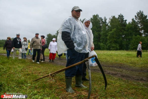 Дожди и заморозки угрожают окончательно уничтожить урожай в Свердловской области - Фото 1