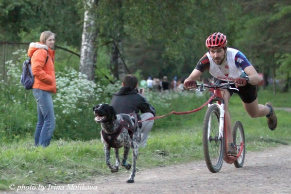В Свердловской области выявят самых быстрых ездовых собак и их хозяев - Фото 1