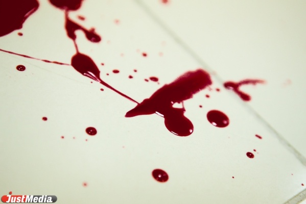 В Сысерти будут судить отморозков, насмерть забивших подростка домкратом - Фото 1