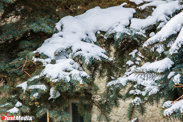В выходные екатеринбуржцев ждет мокрый снег. Днем — плюс три - Фото 1