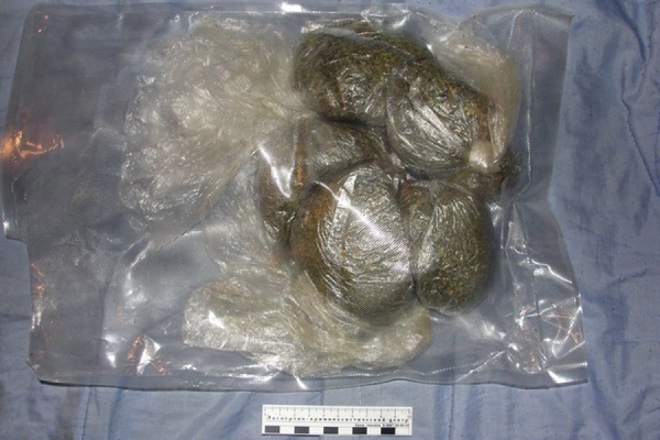 Наркополицейские нашли в Больших Брусянах тайник с килограммом марихуаны - Фото 1