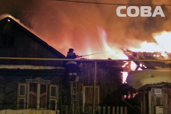 На улице Ягодной горели надворные постройки и гараж. Пожарные спасли кошку - Фото 1