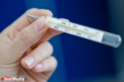 В Екатеринбурге растет число заболевших гриппом и ОРВИ