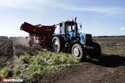 Федеральный бюджет выделяет на развитие растениеводства и животноводства в Свердловской области 153 млн рублей