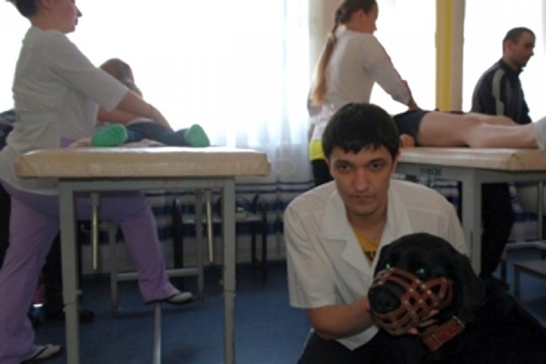 В Екатеринбурге студента-медика водит на занятия собака-поводырь - Фото 1