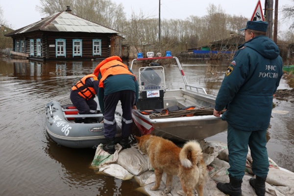 Паводок в Свердловской области развивается интенсивно, ситуация находится под контролем сотрудников МЧС - Фото 1