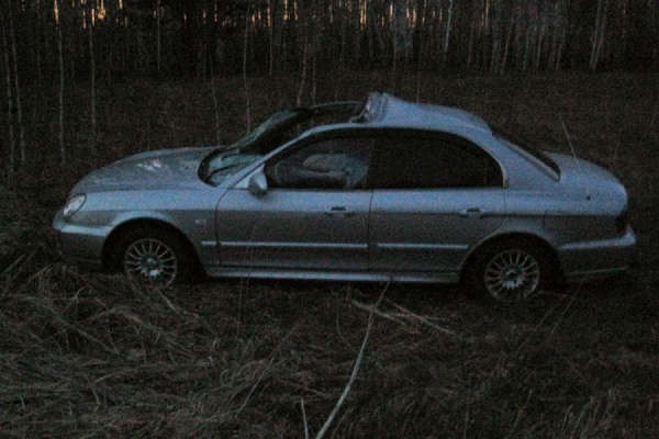 Вблизи Байкалово лось столкнулся с автомобилем. Животное погибло, водитель машины — в больнице - Фото 1