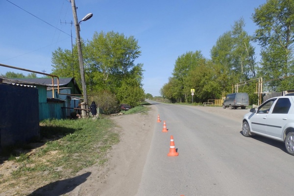 Стали известны приметы водителя, который накануне сбил ребенка в Каменске-Уральском и сбежал с места ДТП - Фото 1