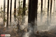 В Екатеринбурге и Каменске-Уральском объявлена высокая пожарная опасность