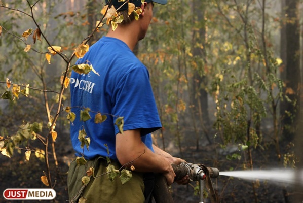 Пожарные по-прежнему не могут справиться с горящим торфяником под Режом  - Фото 1