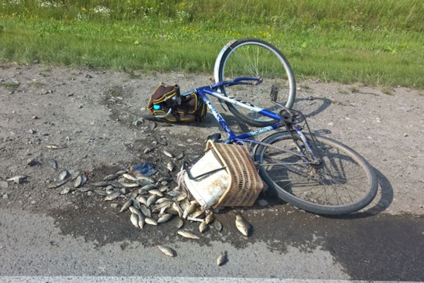 На Тюменском тракте водитель грузовика сбил попутного велосипедиста - Фото 1