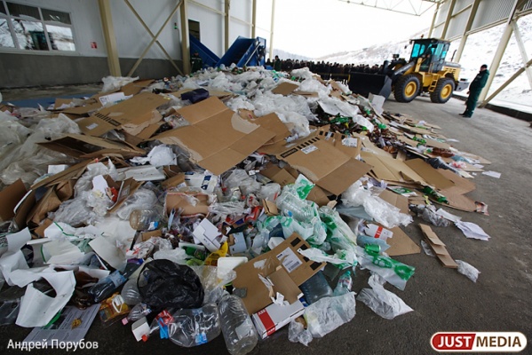 Директора МУПа Горноуральского городского округа оштрафовали за сброс мусора в лесу - Фото 1