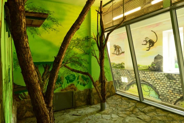 В Екатеринбургском зоопарке отреставрировали павильон обезьян - Фото 1