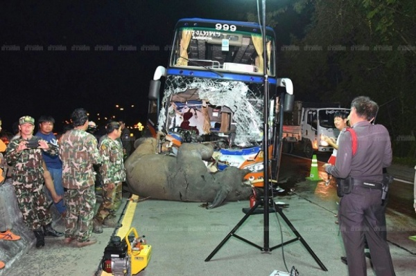 Авария экскурсионного автобуса со слоном в Таиланде угодила на видео