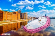 Рисованный кот из Академического покоряет Екатеринбург в компании JustMedia. ЭКСКЛЮЗИВНЫЕ ФОТО