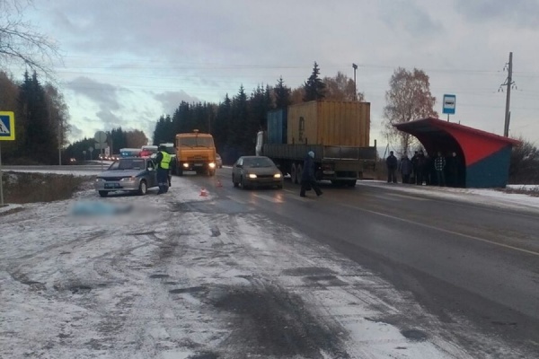 В Николо-Павловском грузовик сбил трех пешеходов - Фото 1