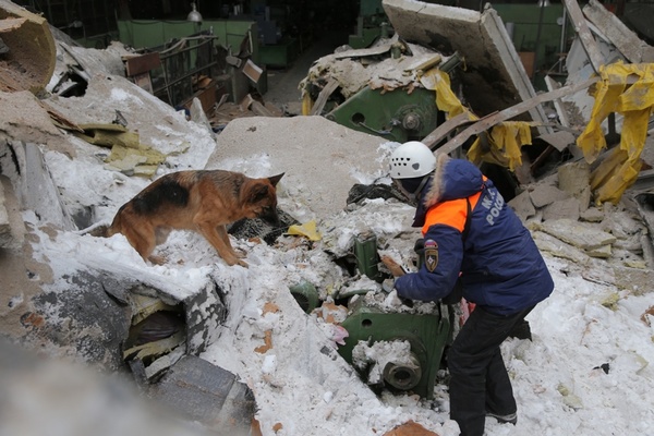 Из-под завалов ЗиКа спасены 14 человек. Все они госпитализированы. ФОТО - Фото 1