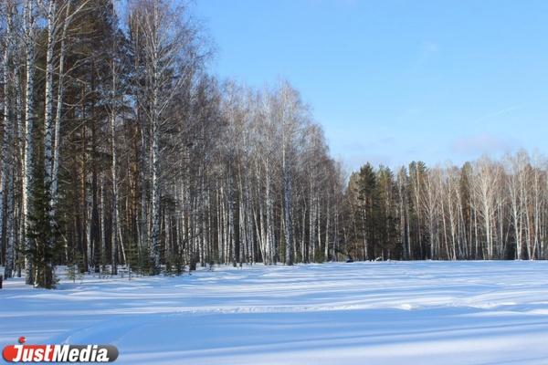 В Свердловской области погиб лихач на снегоходе - Фото 1