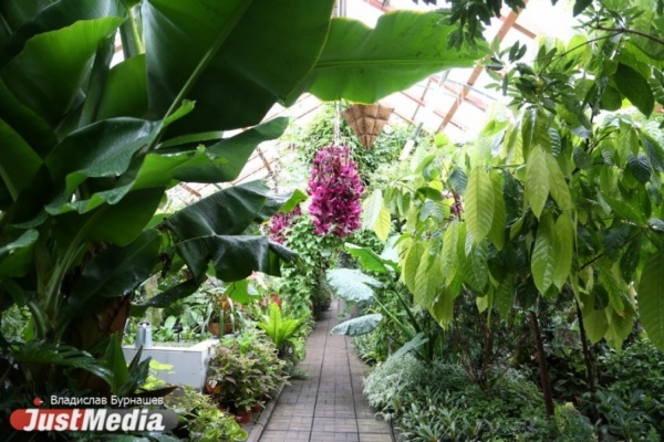 Екатеринбуржцы смогут посетить любовные экскурсии в вечернем Ботаническом саду - Фото 1