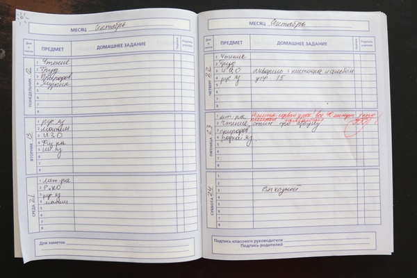 Учителя Екатеринбурга могут посоревноваться в мастерстве написания замечаний в дневники - Фото 1
