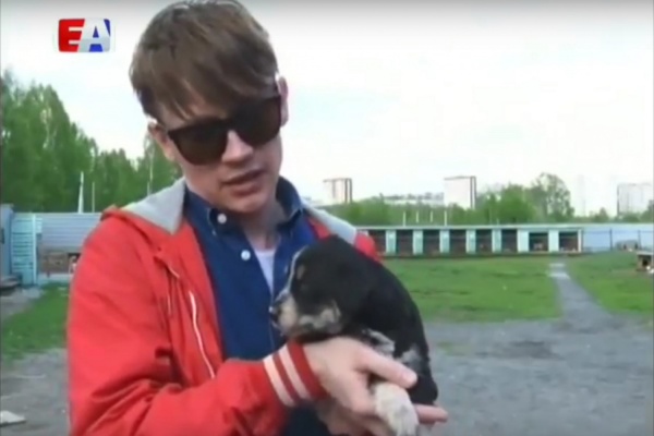 Лидер «Сансары» Александр Гагарин помогает бездомным собакам обрести дом. ВИДЕО - Фото 1