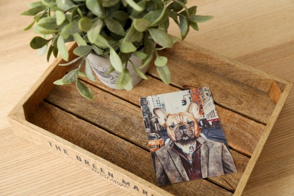 Посткроссеры подсели на открытки уральской художницы: почтовые карточки разлетаются по всему миру - Фото 1