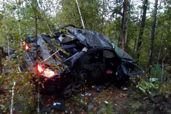 На Серовском тракте BMW вылетел в кювет и проложил просеку в лесу. Двое погибли, трое в больнице. ФОТО - Фото 1