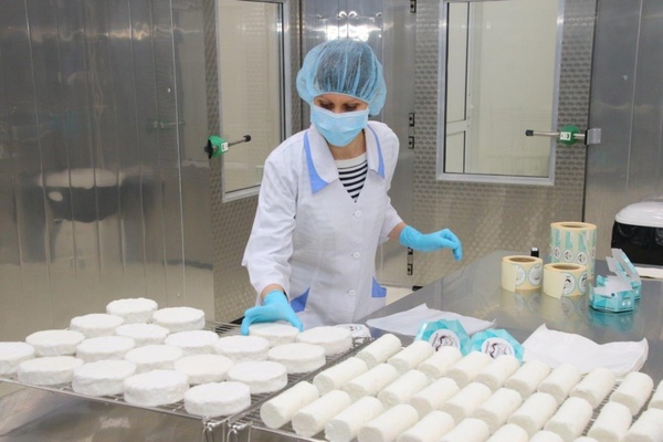 Крупнейшее в России производство сыров с белой плесенью открыли на Урале - Фото 1