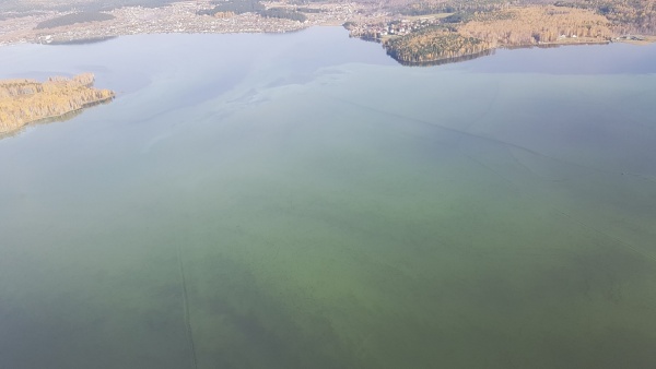 Экологи просят Чайку спасти нижнетагильский пруд. ФОТО, ВИДЕО - Фото 1