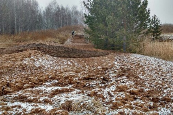Роспотребнадзор отобрал пробы почвы в селе Невьянского района, которое завалили куриным пометом - Фото 1