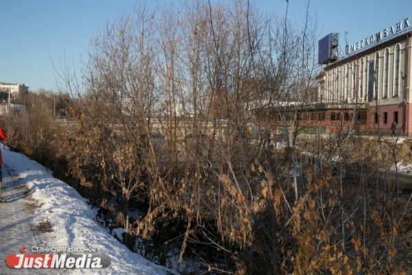 Екатеринбургские ученые: «Срочно нужен снег или растения вымерзнут» - Фото 1