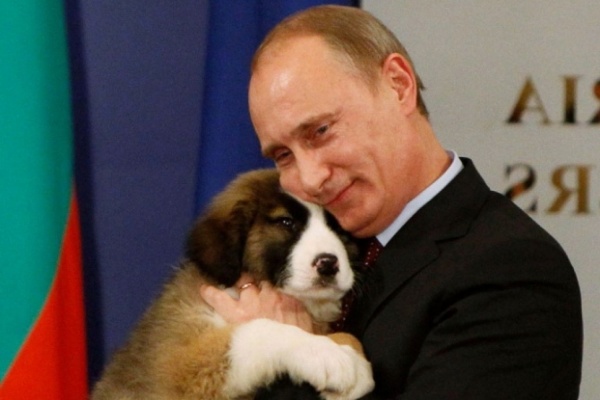 Такса Рогозина, алабай Путина и лабрадор Макрона возглавили рейтинг собак уходящего года. ФОТО - Фото 1