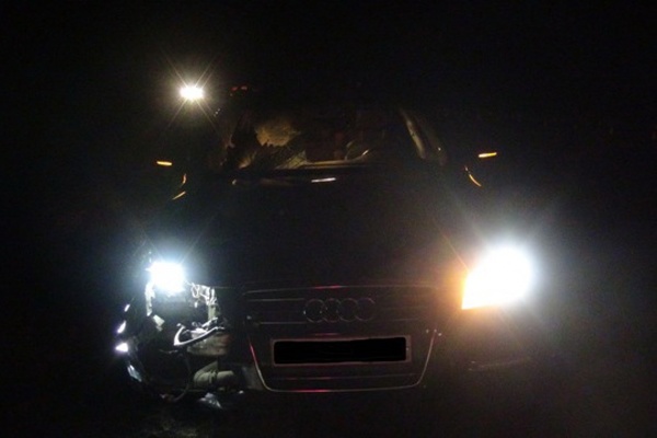На Урале на ночной трассе пешеход шагнул под колеса Audi - Фото 1
