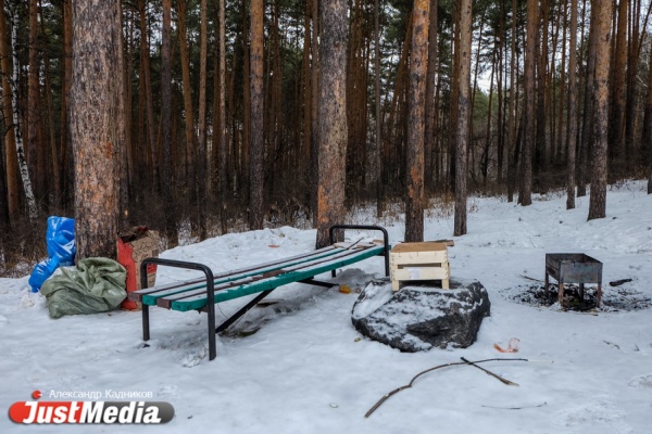 Куйвашева пригласили убрать мусор в Шарташском лесопарке - Фото 1