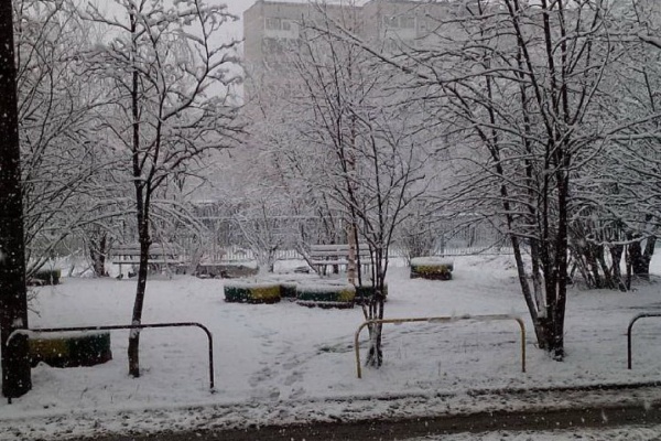 Майская свежесть. Свердловскую область снова засыпало снегом. ФОТО - Фото 1