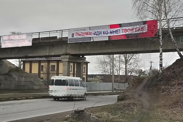 «Пышма! Иди ко мне! Твой Екб!». Активисты вспомнили о «Большом Екатеринбурге» перед выборами в ЕГД - Фото 1