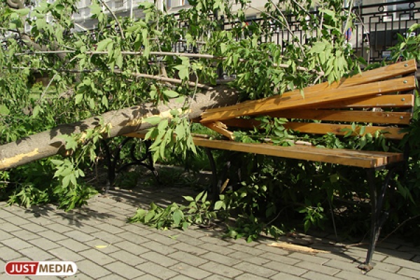 Ураганный ветер будет бушевать в Свердловской области два дня - Фото 1