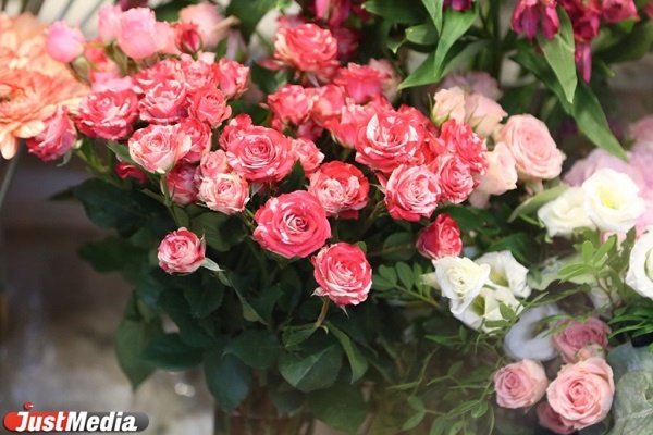 В Кольцово нашли 420 зараженных срезов цветов. Этих роз и хризантем больше нет - Фото 1