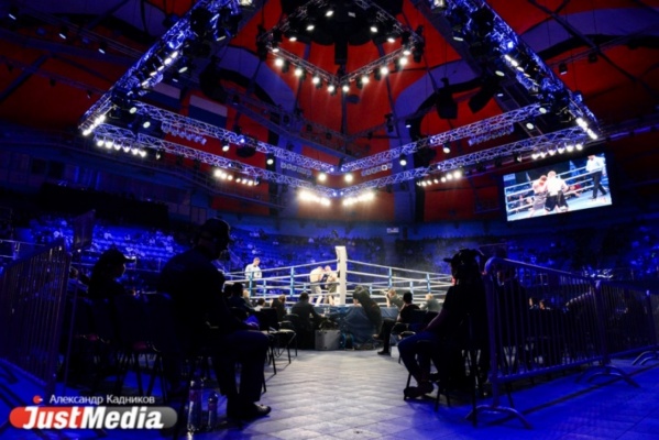 В Екатеринбурге могут пройти 1/2 и финал всемирной боксерской суперсерии - Фото 1