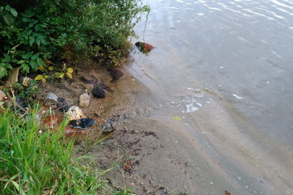 Экологи обвинили РЖД в загрязнении Верх-Исетского пруда - Фото 1