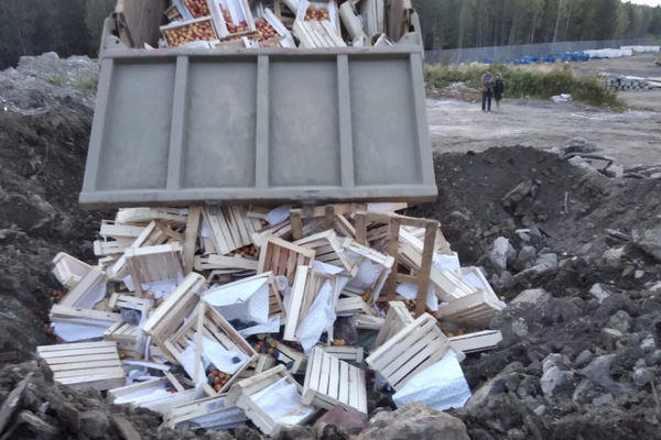 В Екатеринбурге чиновники уничтожили тонны мяса и фруктов. ВИДЕО - Фото 1