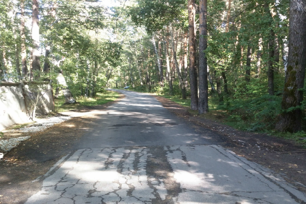 В Шарташском лесопарке отремонтируют дороги за 360 миллионов рублей - Фото 1