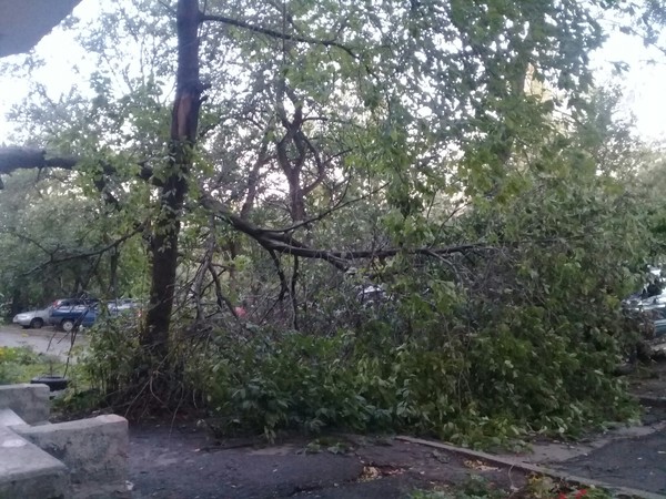 Ночной ураган в Екатеринбурге оставил после себя поваленные заборы и деревья. ФОТО, ВИДЕО - Фото 1