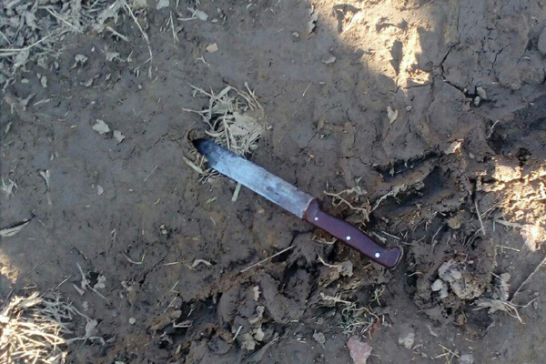 В Артинском районе 55-летний мужчина пырнул ножом в живот участкового - Фото 1